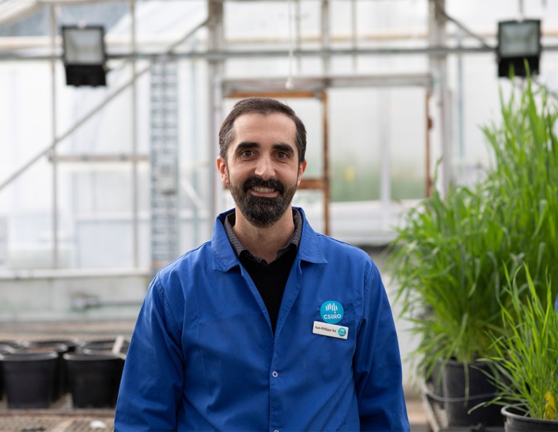 Jean-Philippe Ral stands in a greenhouse. He wears blue CSIRO overalls, behind him are lush green plants.