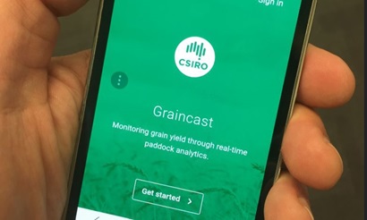 For the first time, Australian farmers can forecast grain yield at the touch of a button thanks to our new smart phone app, Graincast 