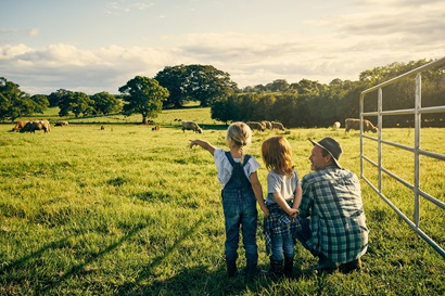 A family look out at livestock in a paddock.