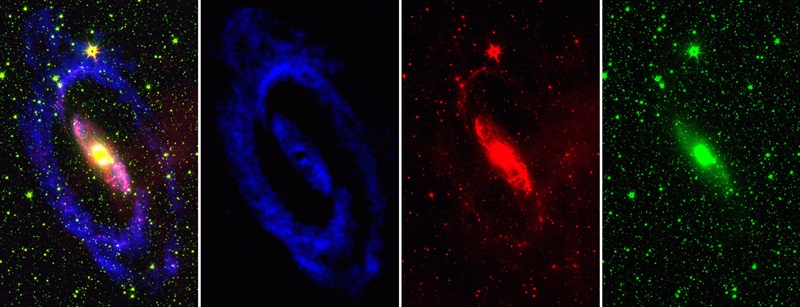 Four images of a spiral galaxy - bright areas on a black background. On the far left is a combined image with a yellow and pink centre, blue spiral arms, surrounded by numerous green dots; to the right of this is a blue swirl; to the right of this is a red swirl; and to the far right is a large, bright green dot in the centre with numerous green dots around it.