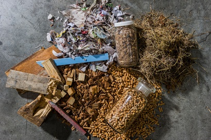 Typical biomass materials