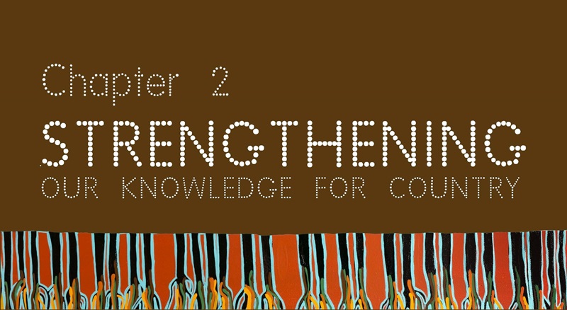 Indigenous dot painting graphic from the Our Knowledge, Our Way in caring for Country report referencing Chapter 2 - Strengthening our knowledge for country