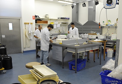 Three scientists wearing lab coats standing at a large stainless steel table examining fish specimens.