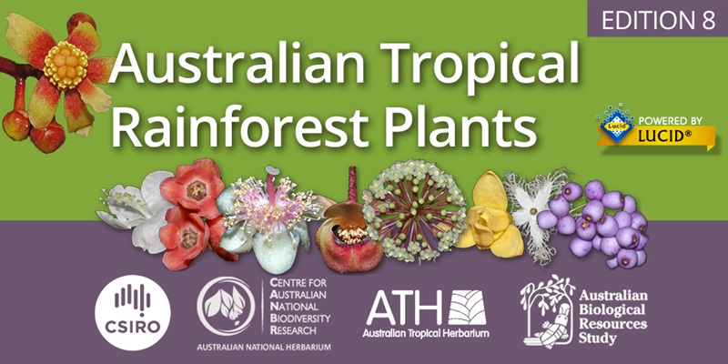 A designed image with tropical flowers in a line in the middle with 'Australian Tropical Rainforest Plants' in white text above. Partner logos below.