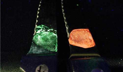 Close up view of fingerprints glowing with MOF crystals.