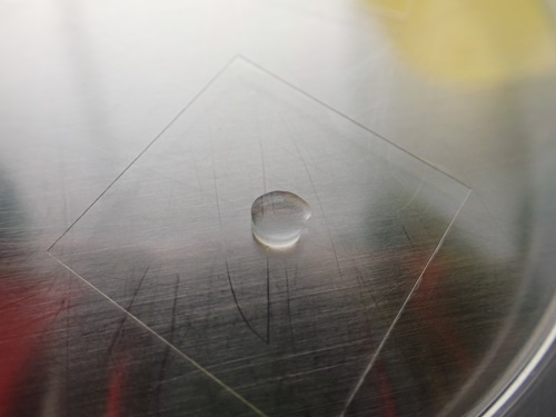 One droplet of liquid forming a circular mound is in the middle of a small rectangular piece of glass.