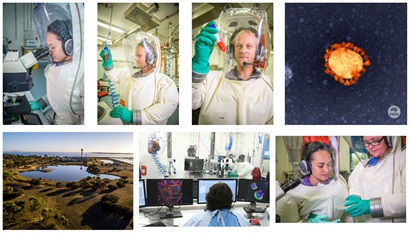 Collage of various covid related images including scientists working in labs, ACDP building, coronavirus scan. 