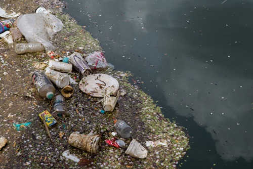 Piles of rubbish floating in a river.