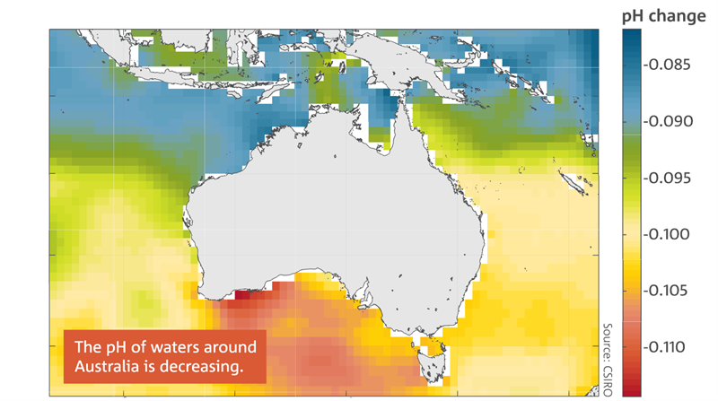 Map: The change in the pH of surface waters around Australia between 1880–89 and 2000–09. The pH of waters around Australia is decreasing.