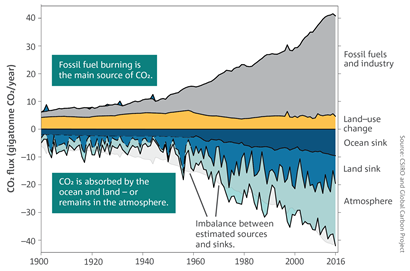 The CO2 fluxes in the global carbon budget over the period 1900–2016. 