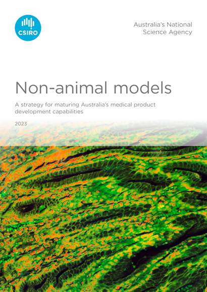 Front cover of the the Non-animal models report