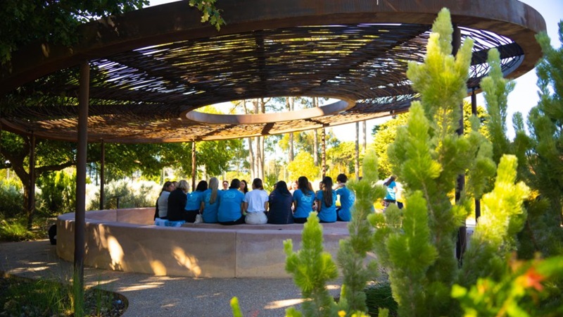 Group of people, shown from behind, sitting together under a large round pergola.