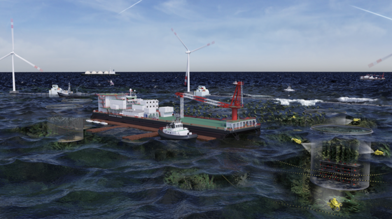 Graphic of an offshore ocean environment including aquaculture, and wind farms