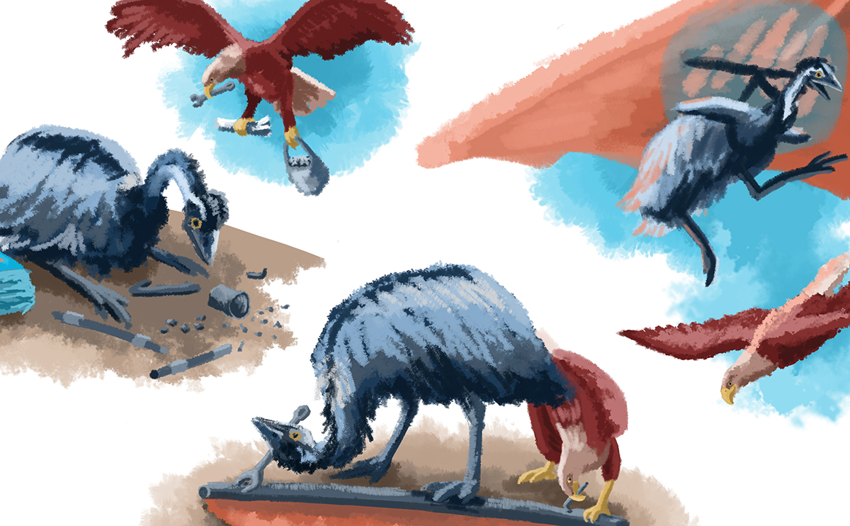Illustration of an eagle and an emu working together.  