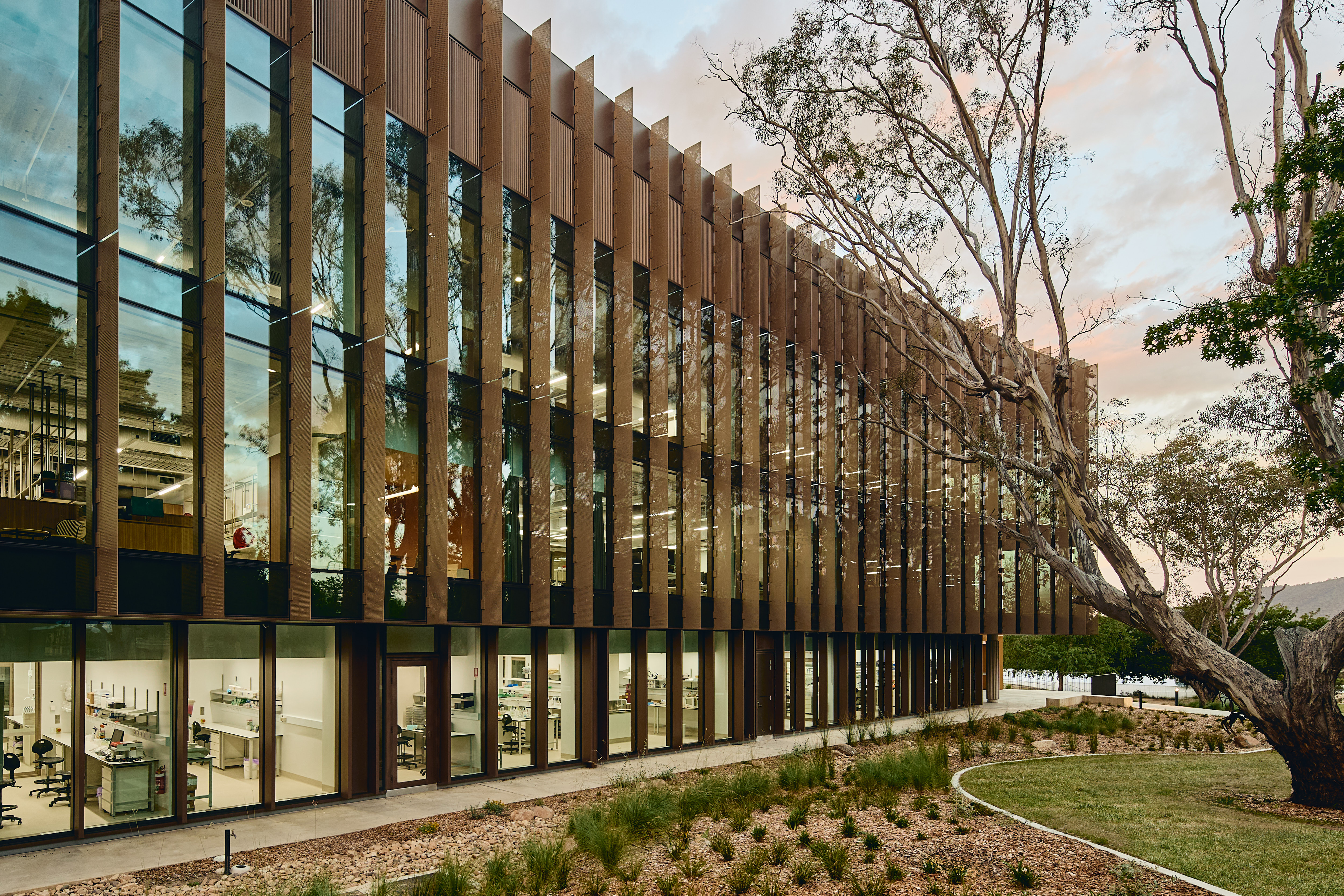 A view of a new building with the trees reflecting from the windows.