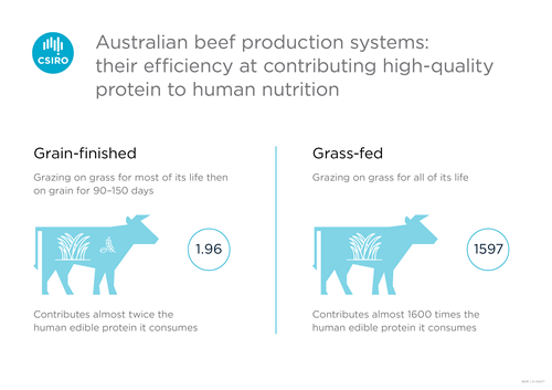 Figure of two cows