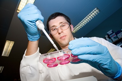 Ashley Waardenberg adds cells to make a tissue culture in a 6-well tissue culture dish at the Queensland Biosciences Precinct