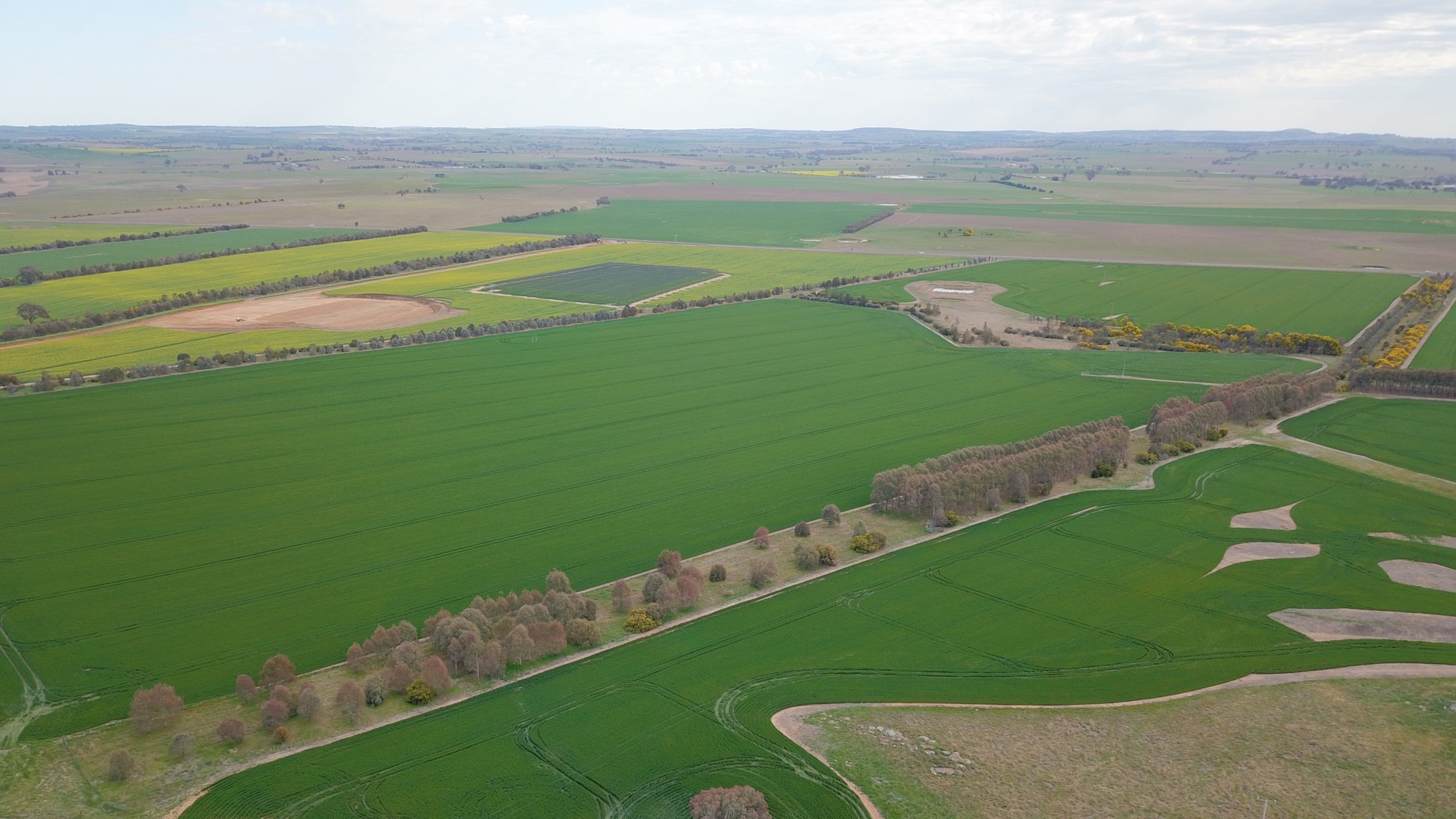 Aerial view of Boorowa Agricultural Research Station