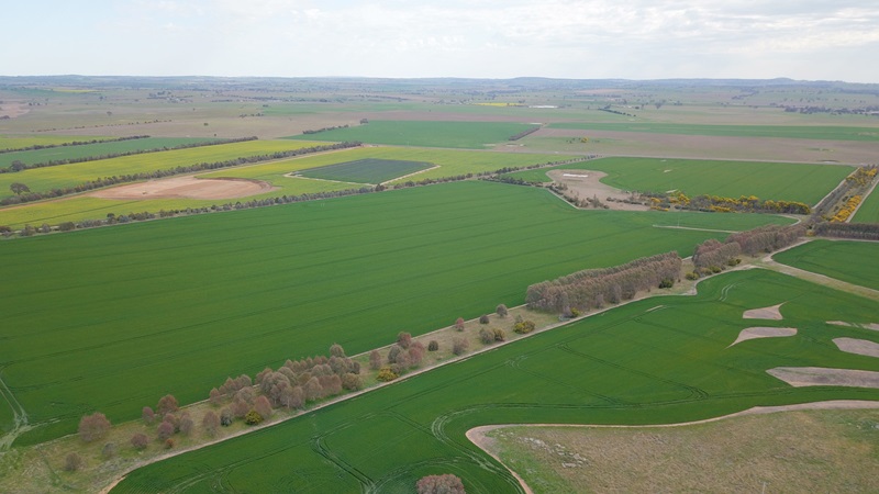 Aerial view of Boorowa Agricultural Research Station