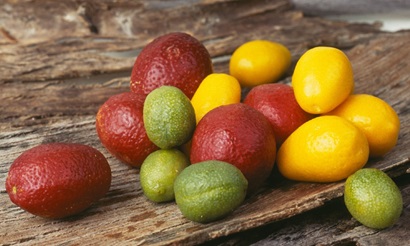Blood Lime (red rind), Sunrise Lime (yellow rind) and Outback Lime (green rind).