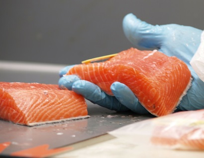 A salmon fillet.