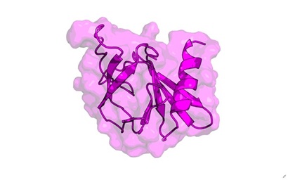 Model of a rust pathogen protein.