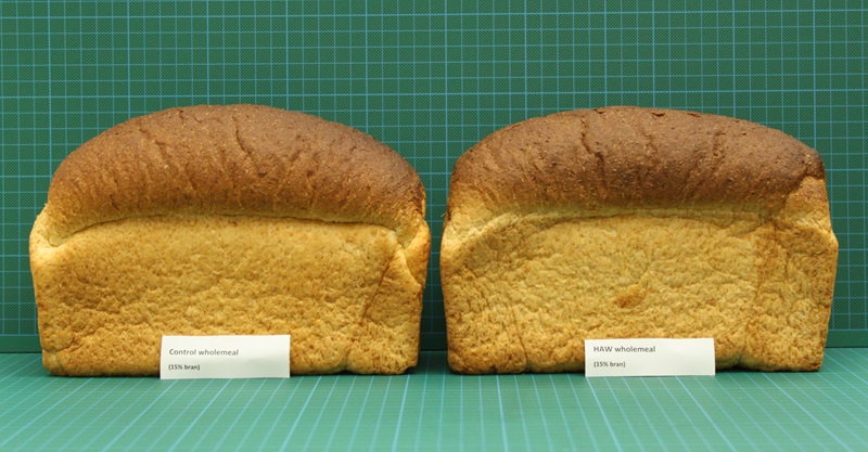 Two loaves of bread: one baked with high-amylose wheat flour and one baked with standard wheat flour. They look very similar