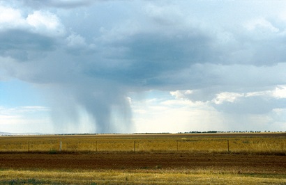 Rainfall over a paddock
