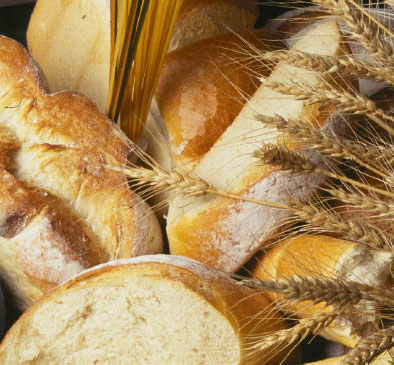 selection of different types of breads including rolls, sticks and a round loaf with golden wheat heads scattered on the right of the image.
