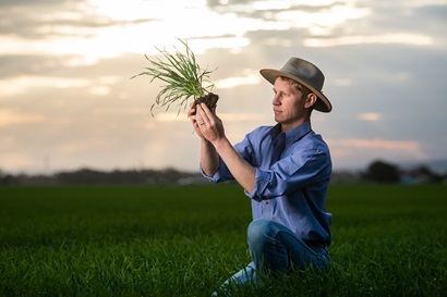 Person in a field of green holding a plant