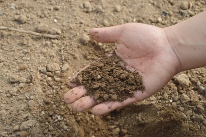 A hand holding soil.