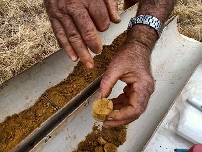 Hands holding a soil core with soil in a tray