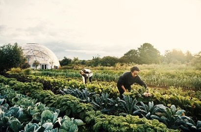 People working on a farm.