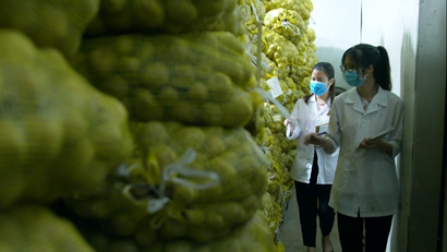 Two female researchers looking at tall stacks of bagged produce