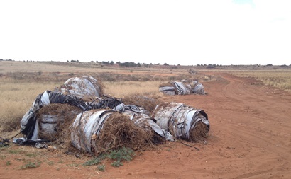 Discarded plastic ground covers.