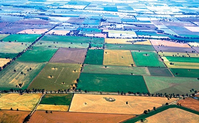 Aerial view of mixed cropping fields.