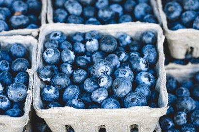 Blueberries in cardboard boxes