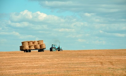A tractor in an open field tows a trailer stacked with cylindrical hay bales