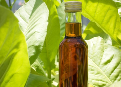 A small bottle of oil in front of some leaves