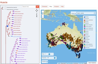 Screen shot from the Atlas of Living Australia. 