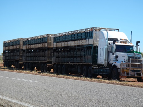 Big rig semi trailer parked on the side of the road. 