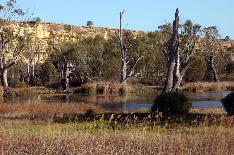 Backwaters of the River Murray above Lock 1 at Murbpook Lagoon, SA. September 2007