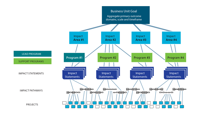 Diagram shows a flow chart from Flagship Goal (aggregate primary outcome domains, scale and timeframe) to Impact Areas to Programs to Impact statements to Impact Pathway Planning to Projects.