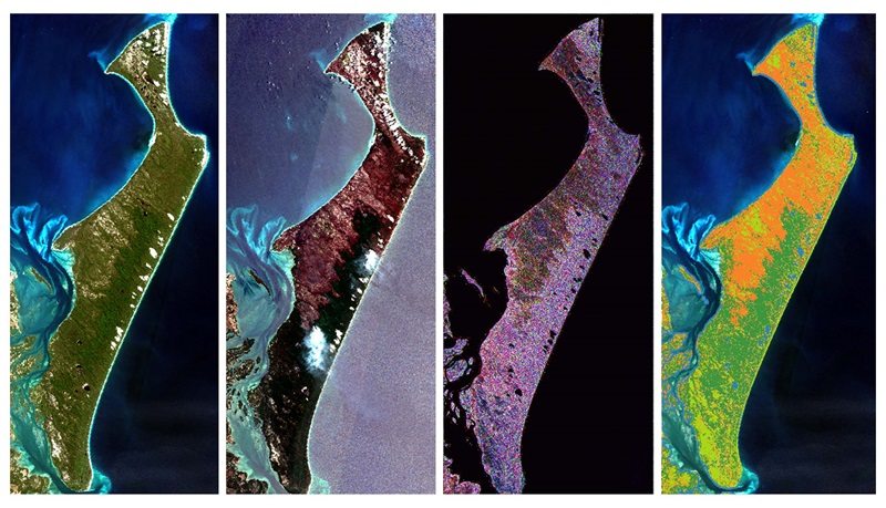 Collage of satellite images showing bushfire scarring at Queensland's K'gari (formerly Fraser Island) in optical and SAR  