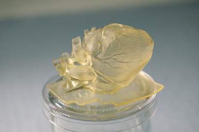 Model of a 3D silicon heart.