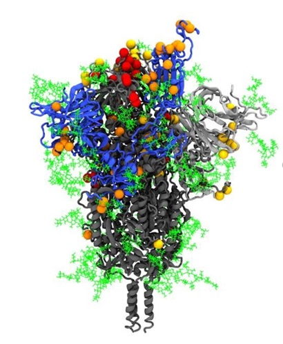 An intertwined shape of different coloured cords representing the Omicron spike of the SARS-CoV-2 molecule.