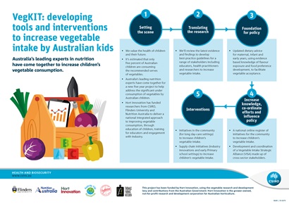 An info-graphic explaining the different activities being undertake as part of the VegKIT project