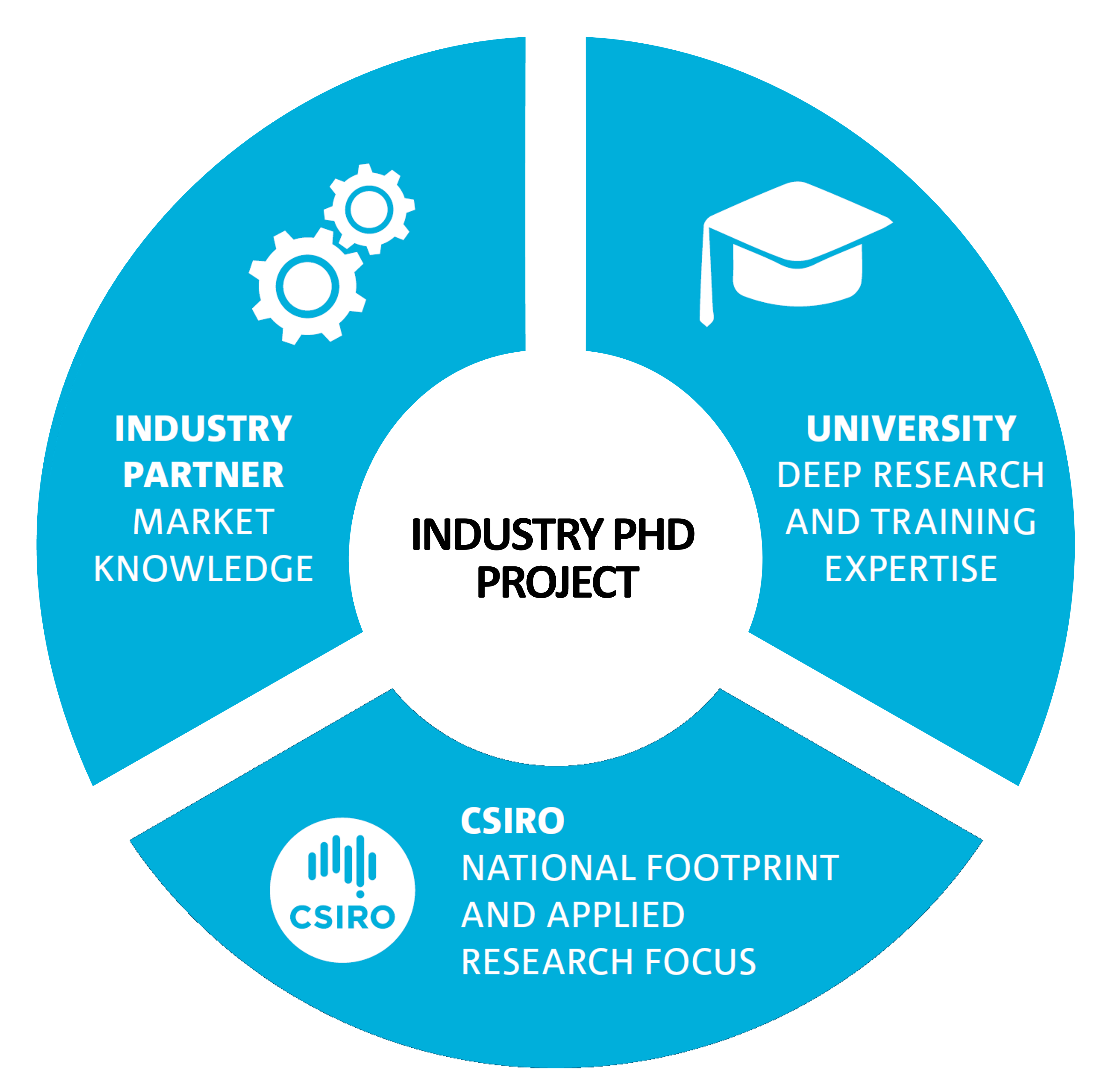 Infographic of iPhD Program