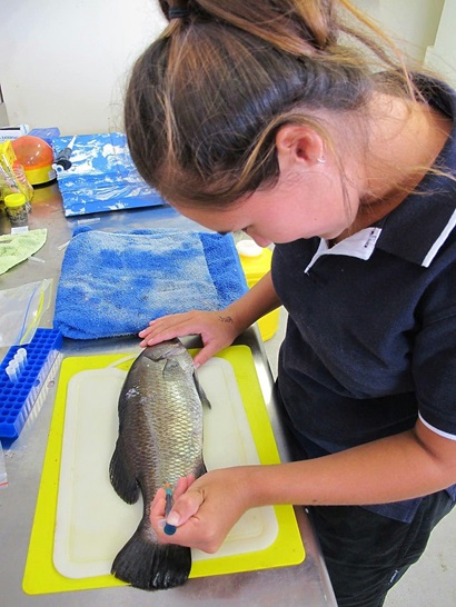 A girl working in an aquaculture facility