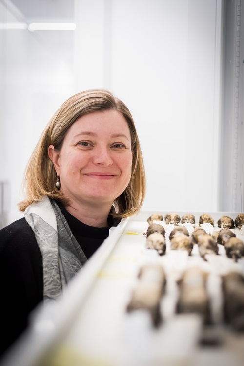 Dr Clare Holleley in the bird vault